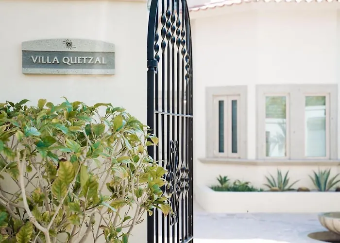 Luxury Retreat, Pool And Close To The * Cabo San Lucas